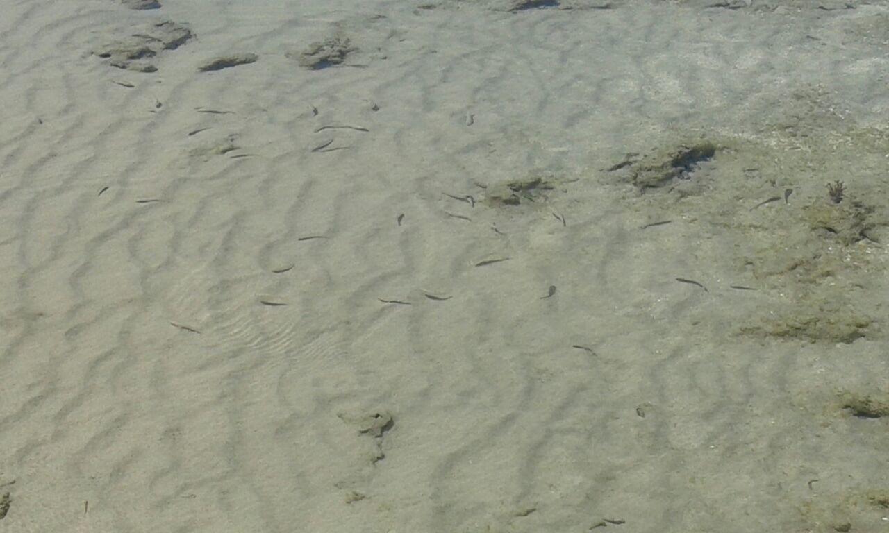 Axe Mainha Flats! Quarta Praia! Морро-де-Сан-Паулу Экстерьер фото